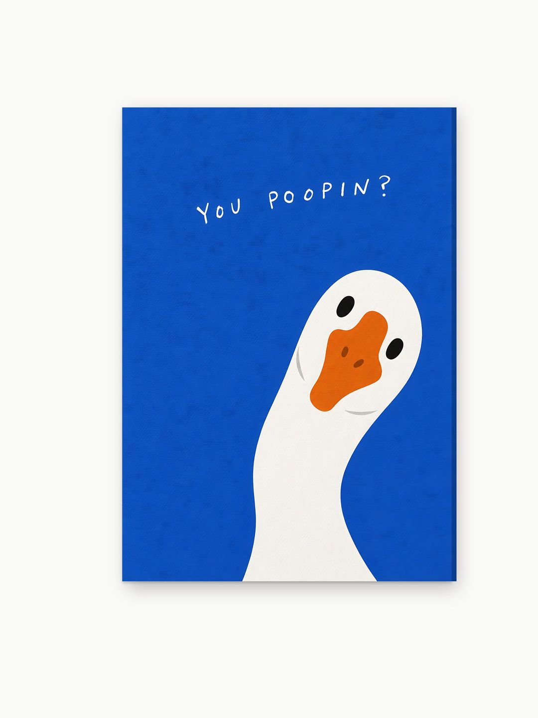 The Nosy Goose