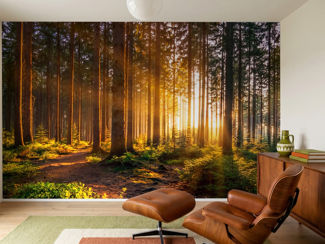 Dawn Glade mural