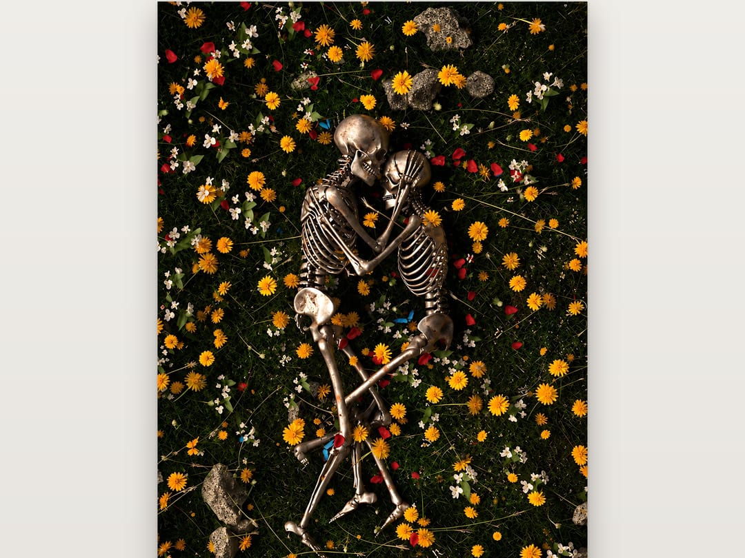 Bones in Bloom poster