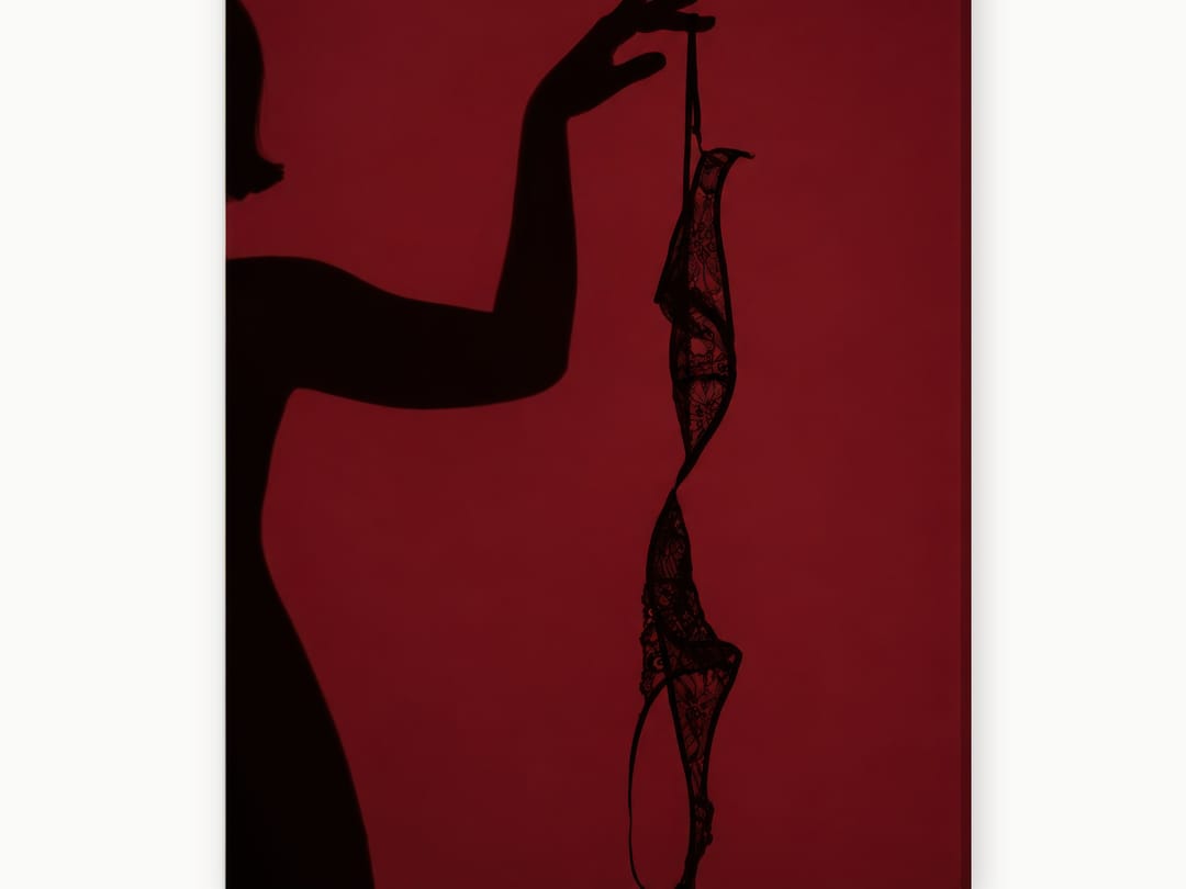 Dangling Lace Silhouette canvas
