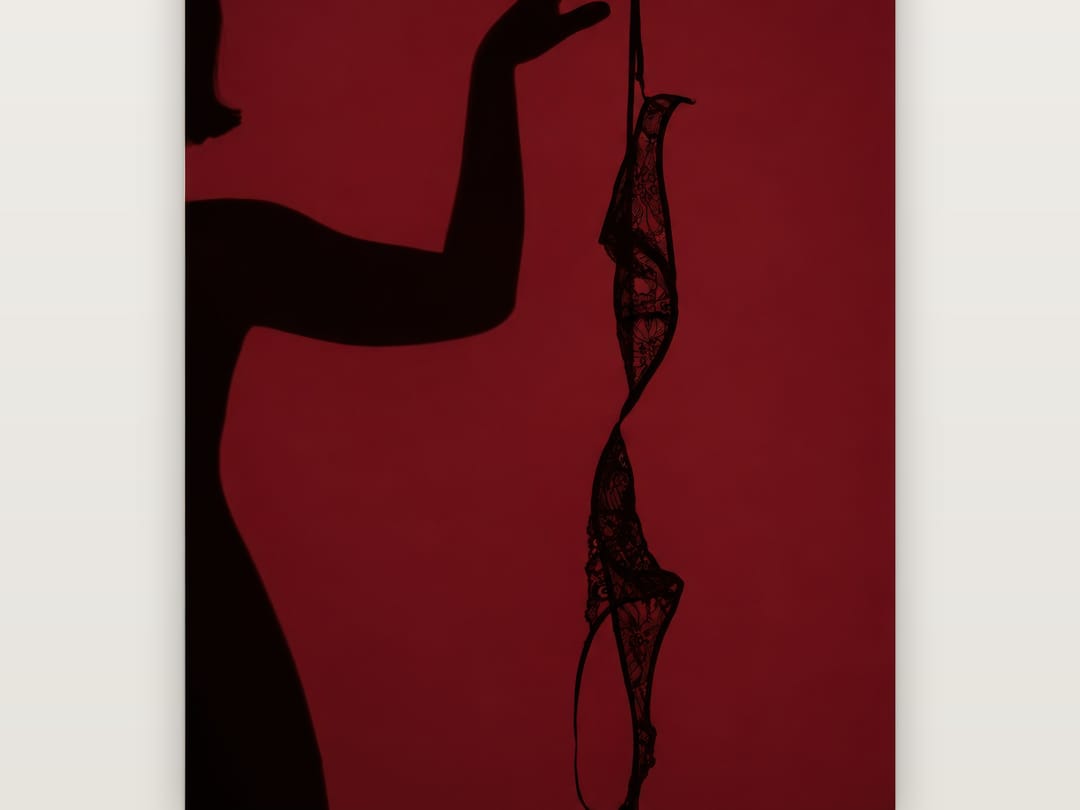 Dangling Lace Silhouette poster