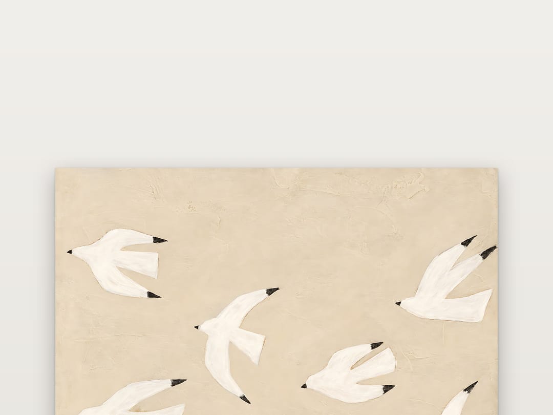 Gulls on Warm Plaster poster