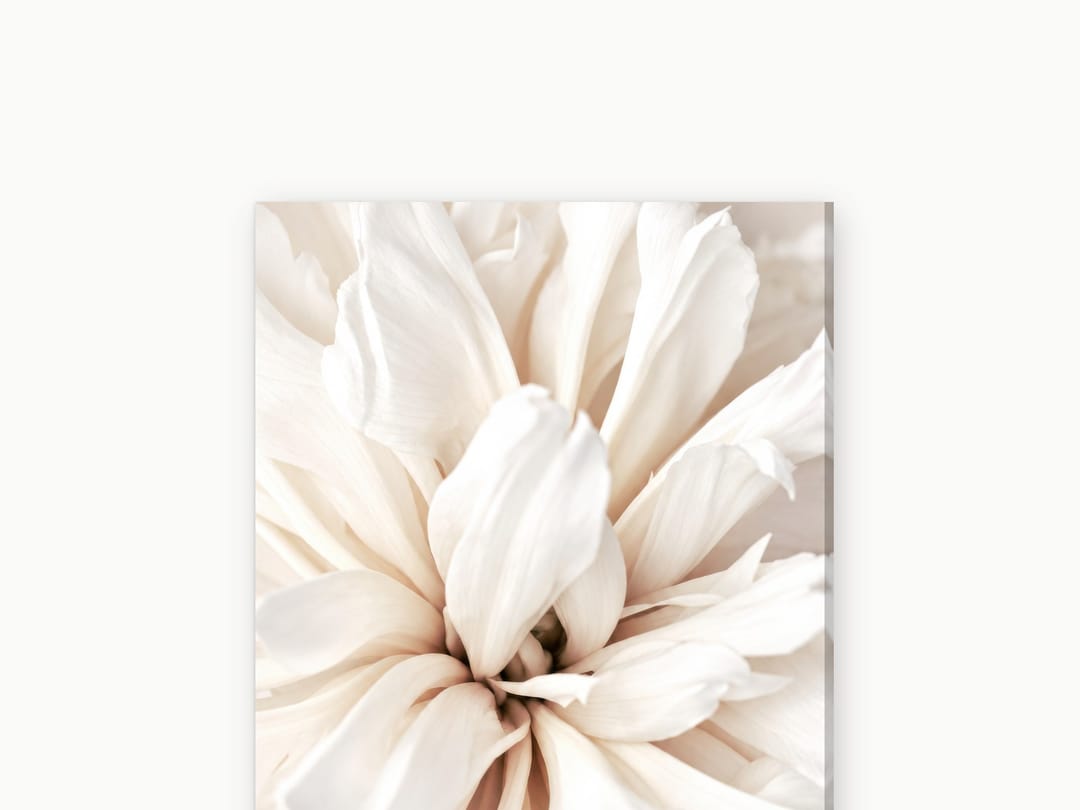 Peony Heart in Ivory canvas