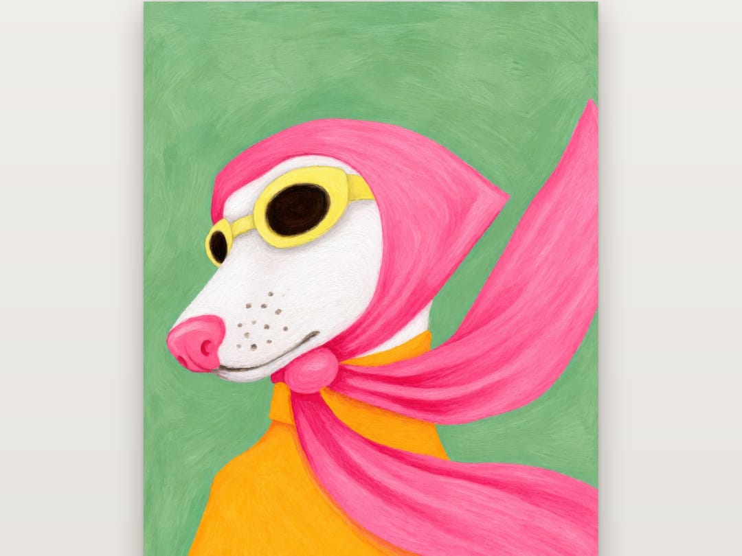 Pink Scarf Joyride poster