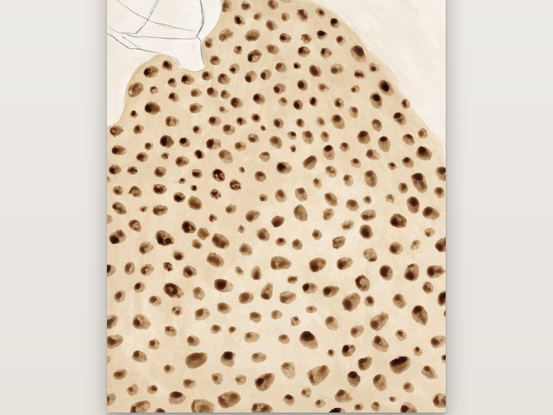 Cheetah Coat Sketch poster