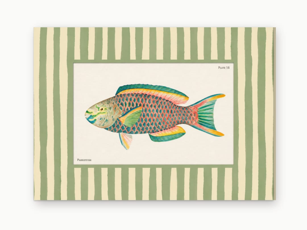 Parrotfish on Sage Stripes canvas