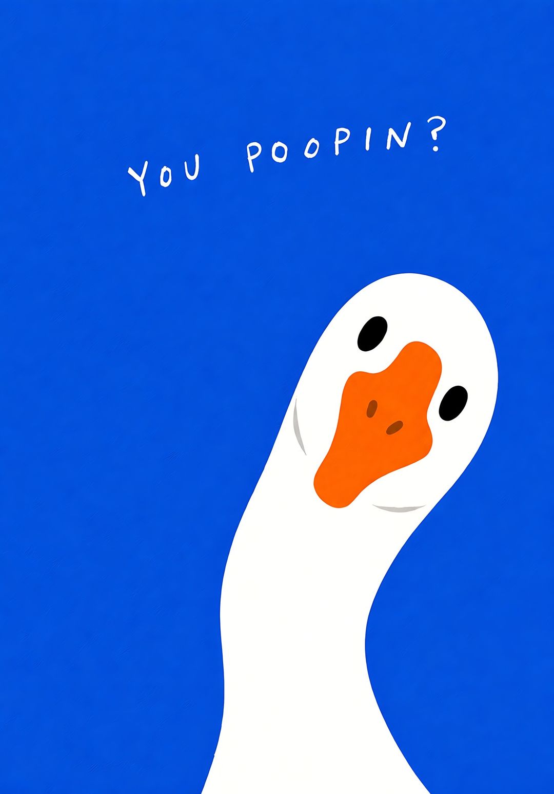 Nosy Goose