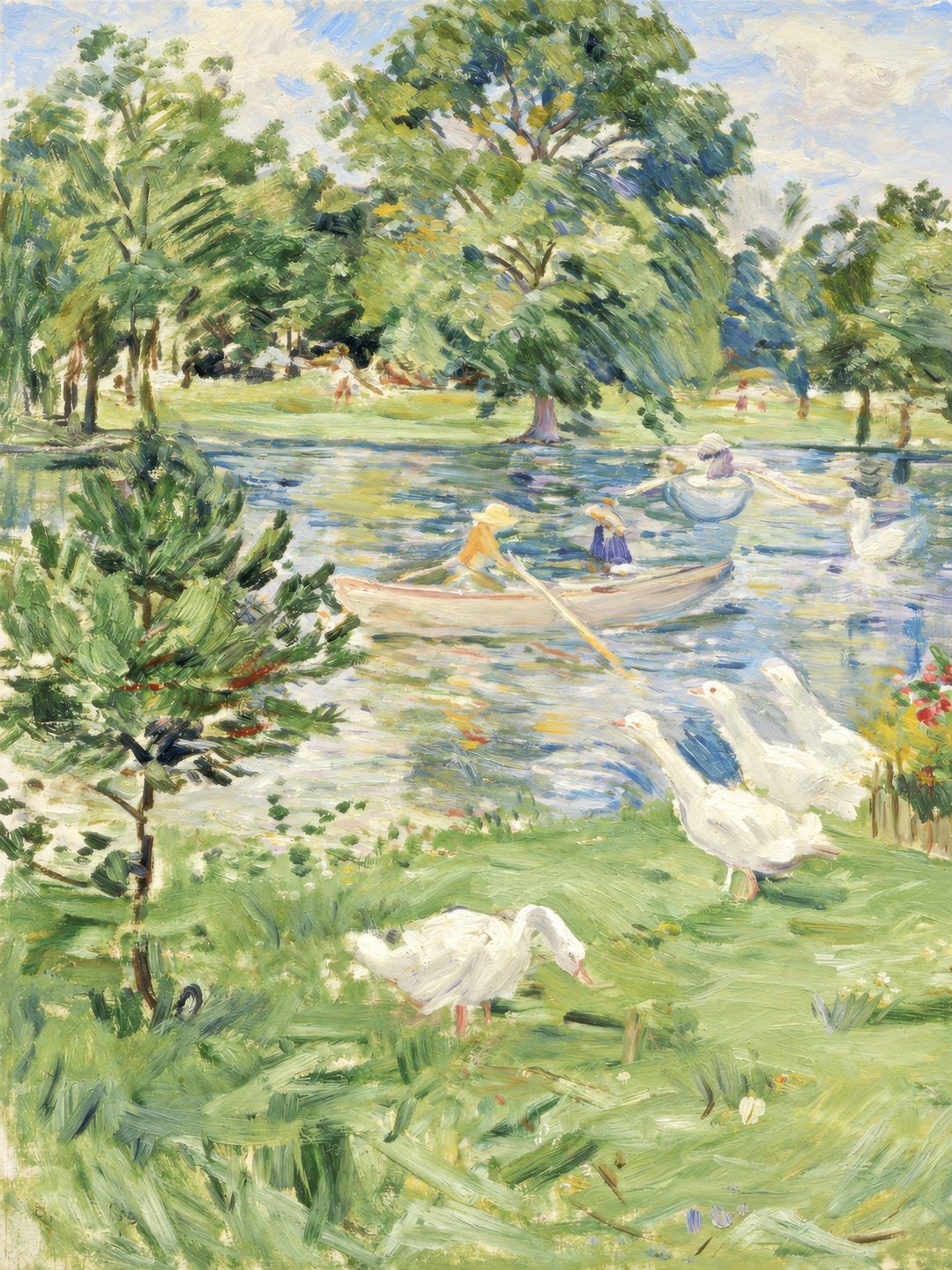 Boating Lake Geese