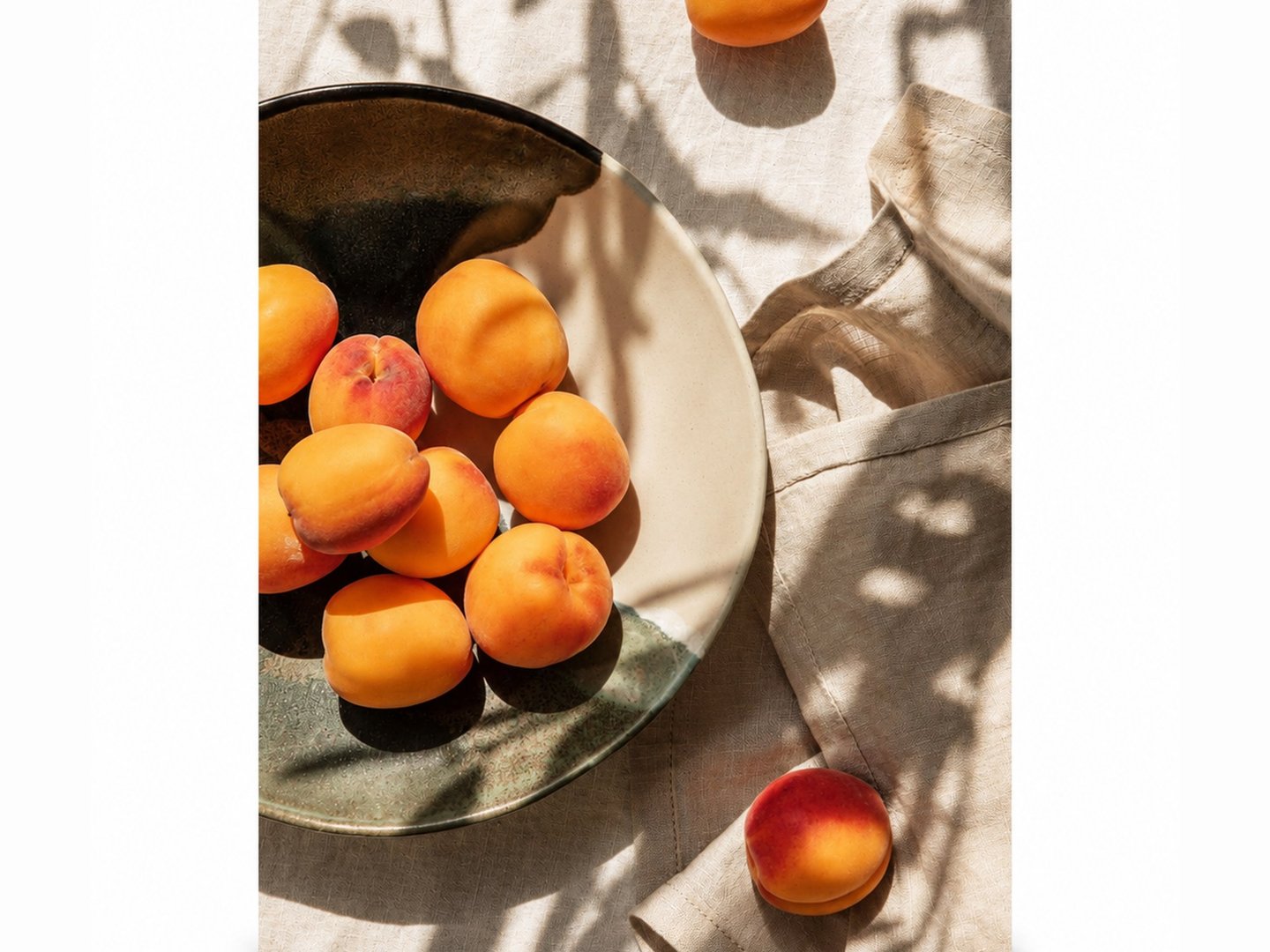 Apricots in Dappled Shade canvas