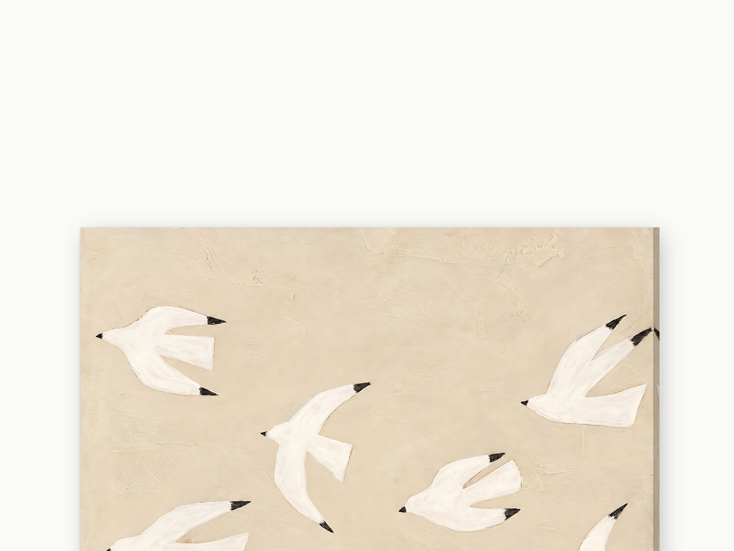 Gulls on Warm Plaster canvas