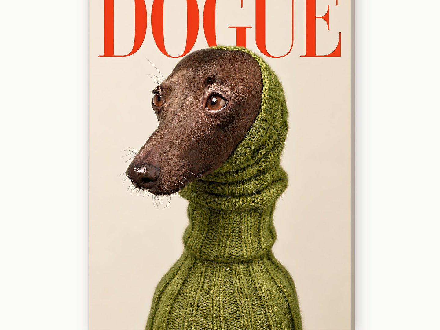 Cover Dog in Knit canvas