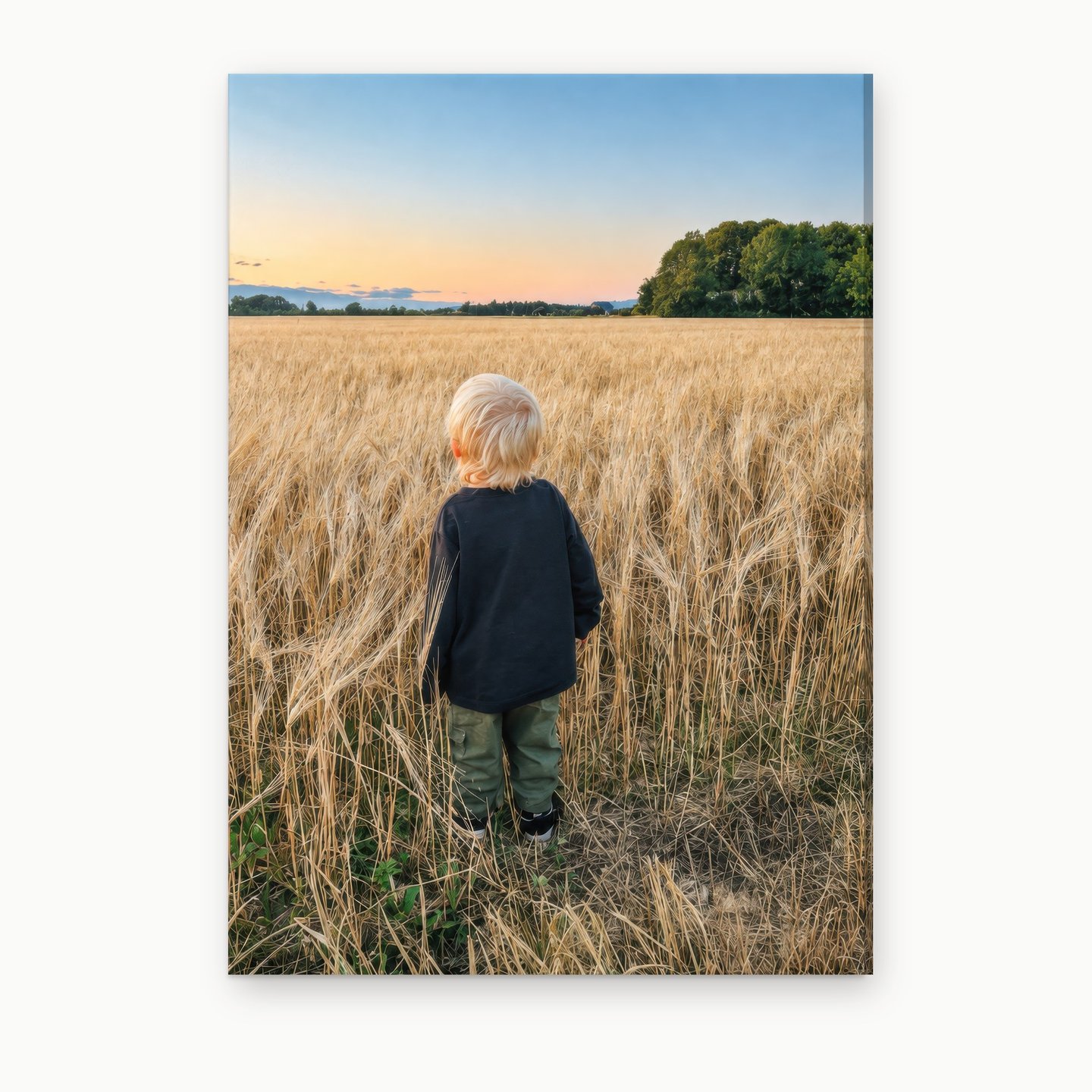 Toddler in Tall Barley canvas