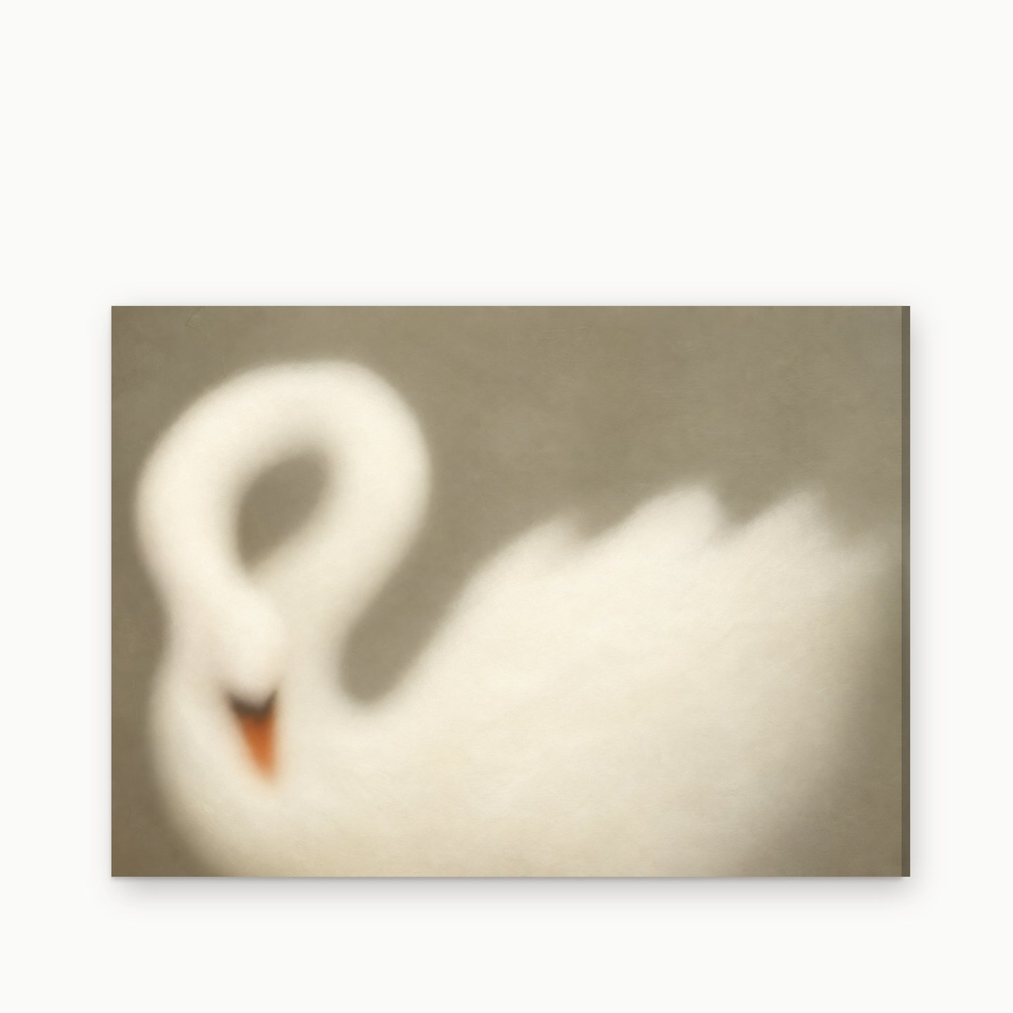 Swan in Soft Focus canvas