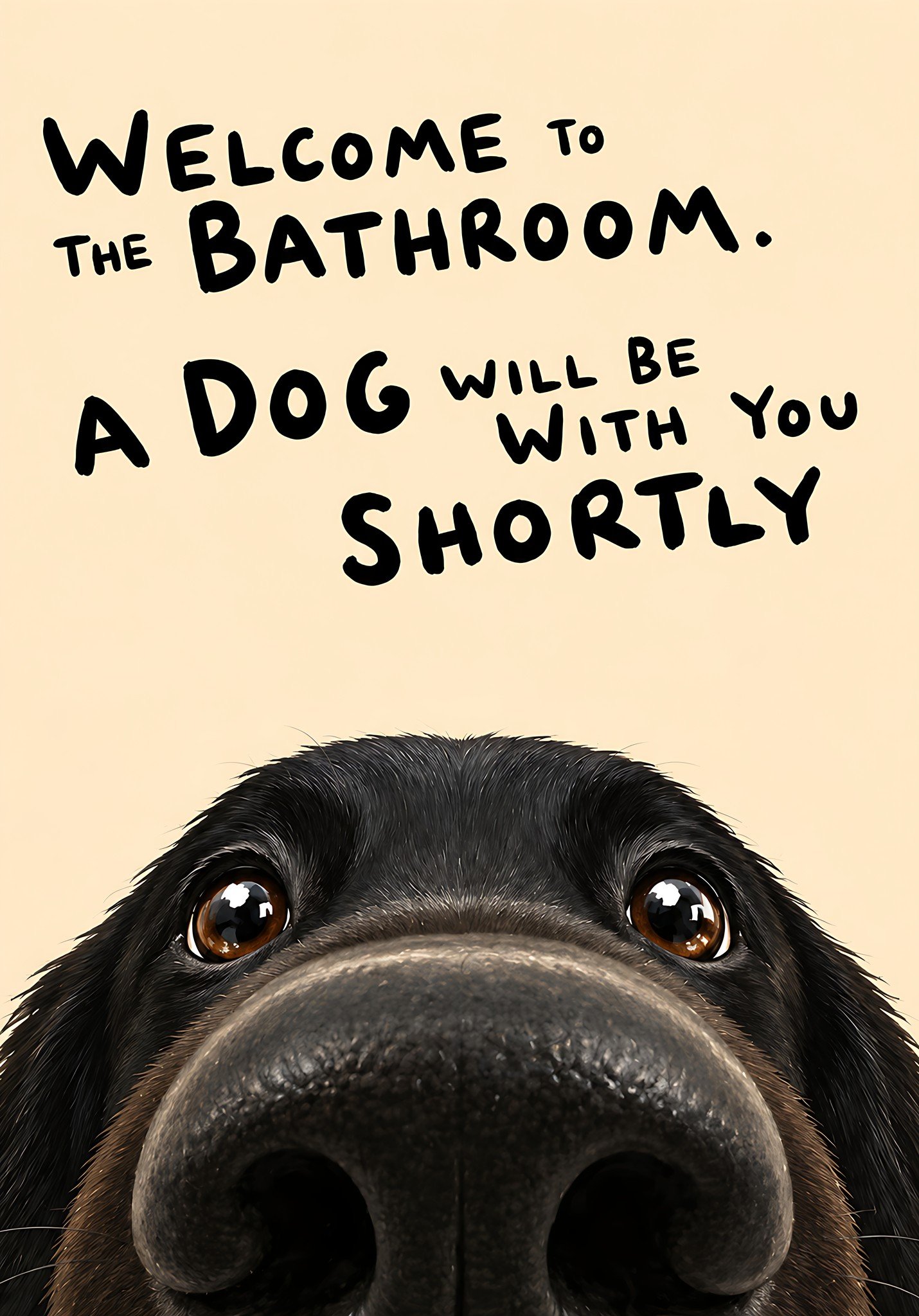 The Bathroom Greeter poster
