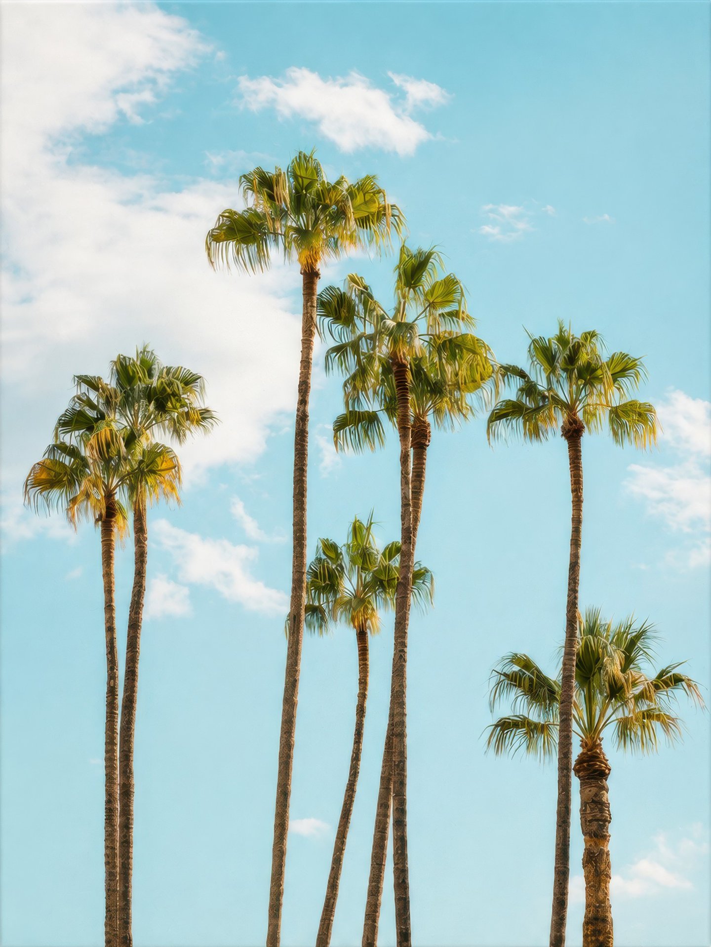 Lanky Palms in Blue