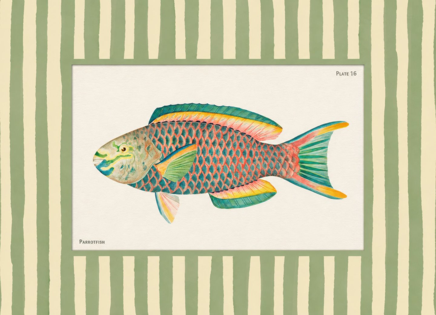 Parrotfish on Sage Stripes