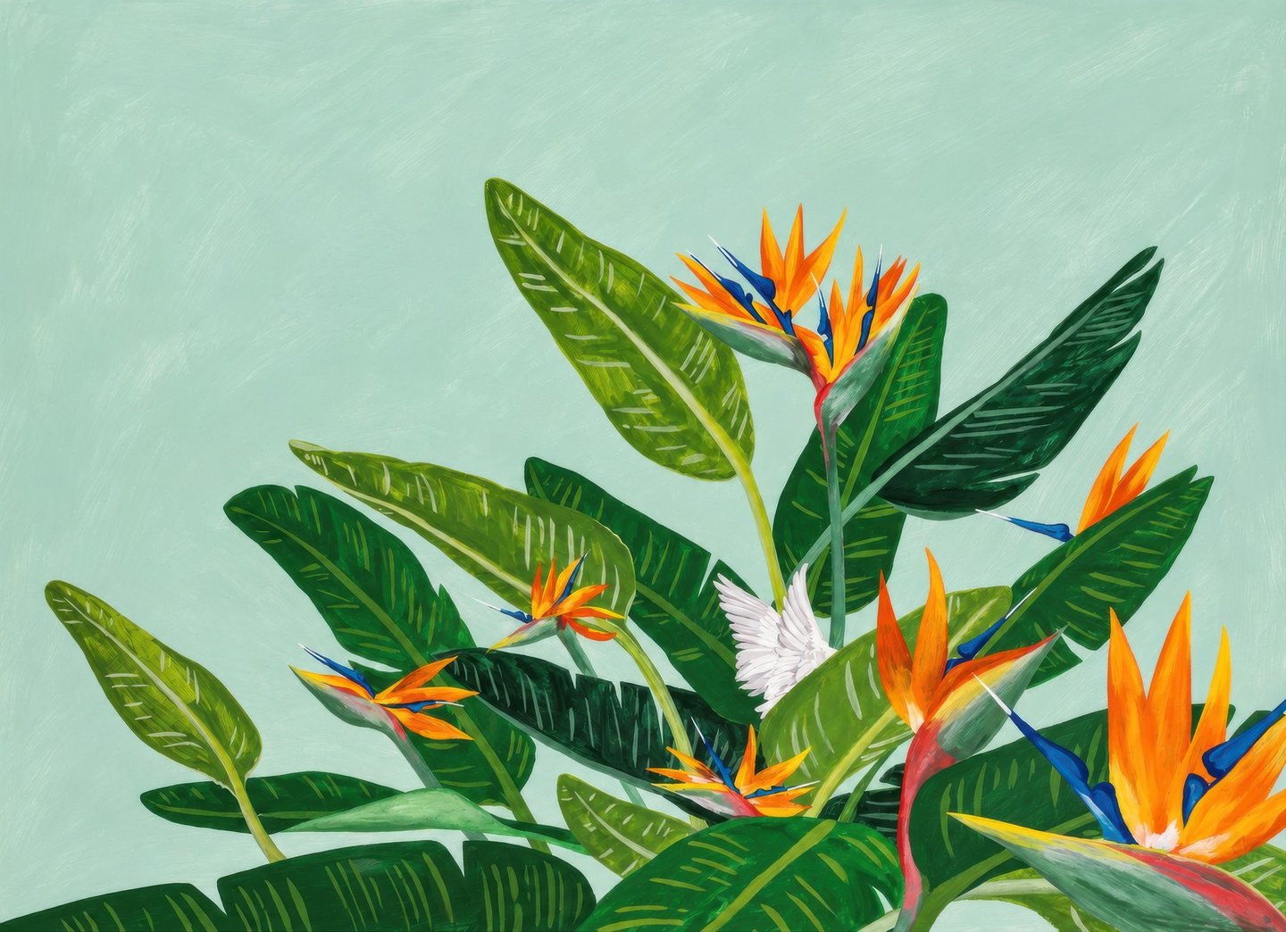 Strelitzia on Mint poster